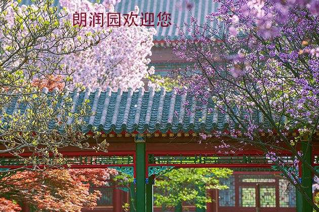 _DSC0356b