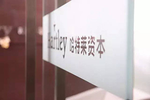 照片2